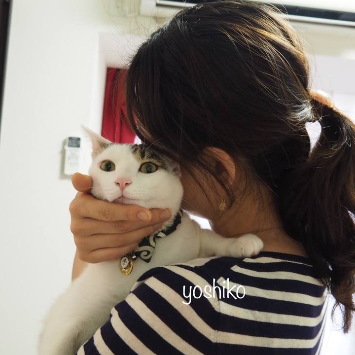 785bf348 f438 42ba 8e08 24b02339441e