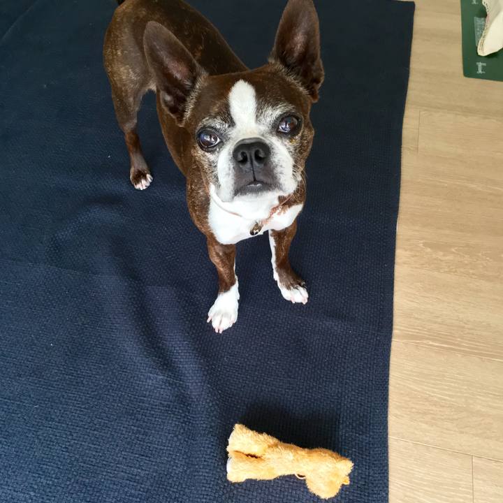 785c86dc bd7e 4876 aeff d08fb1dc64db