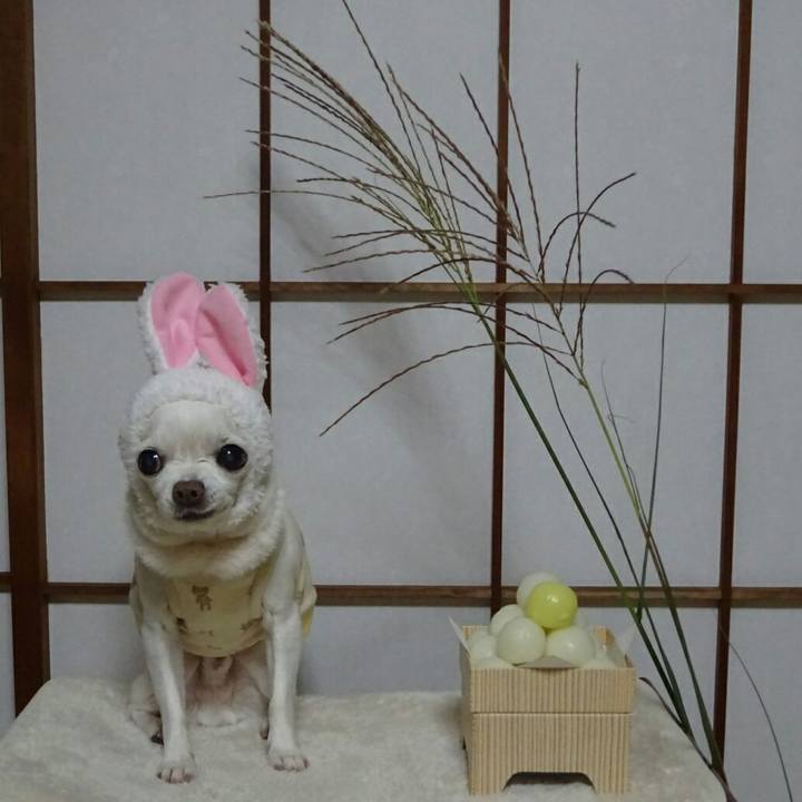 785d0a64 ea7c 4135 b23d f8656c167e33