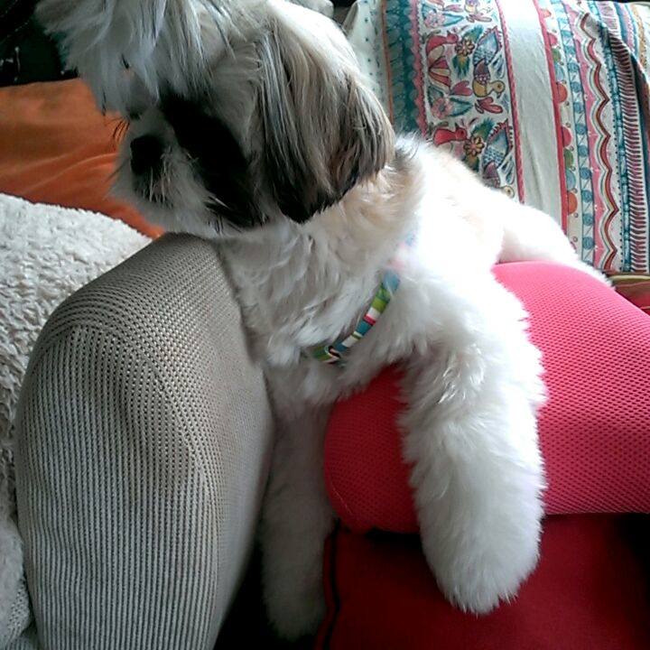 785d3a89 89f2 477b 885b 5d52f508fb96