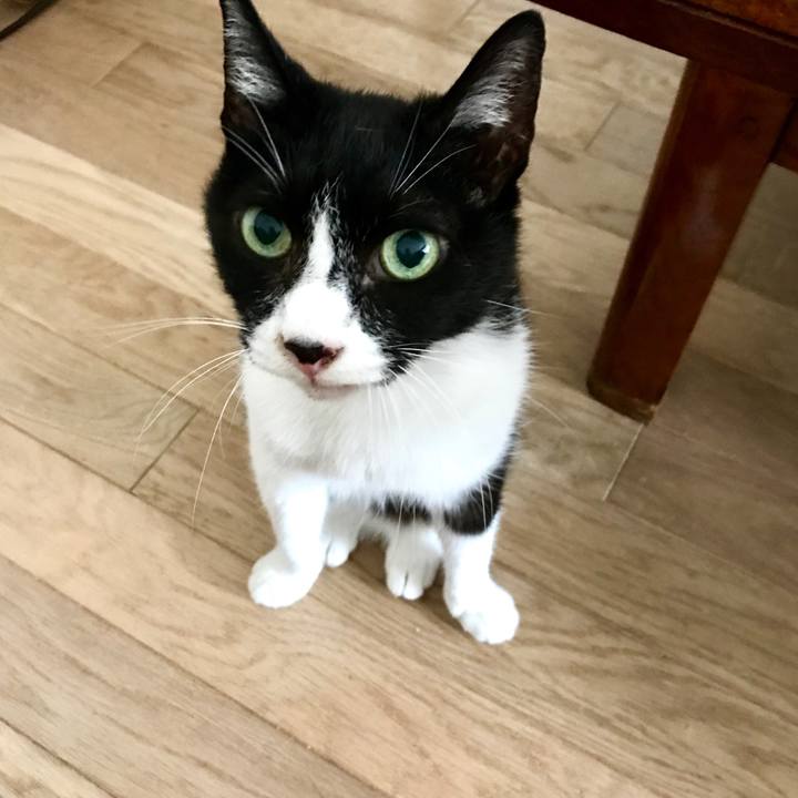 785dedb4 b89b 4d0e b8c3 706a5ba7c376