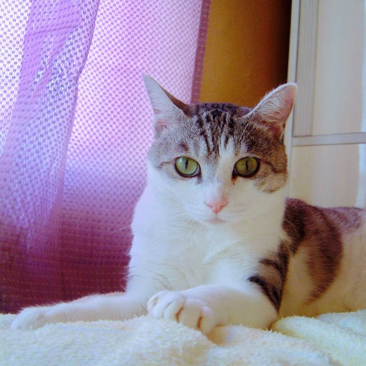 785ee390 54da 46ae 8fbb 53a5b51abf43