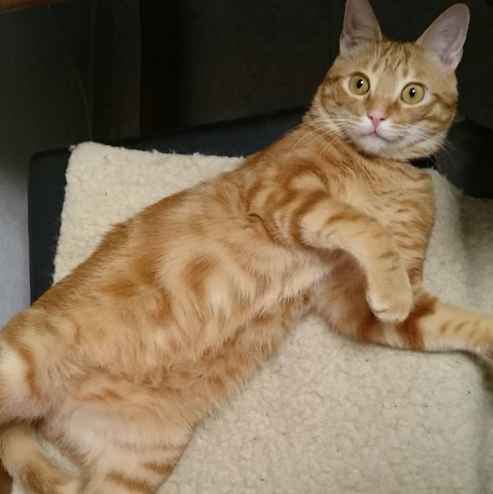 785f03b4 9ede 4230 aa19 3815febb2cac