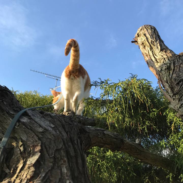 78602bfa 7870 4d50 8a1f 476a6c1372cc