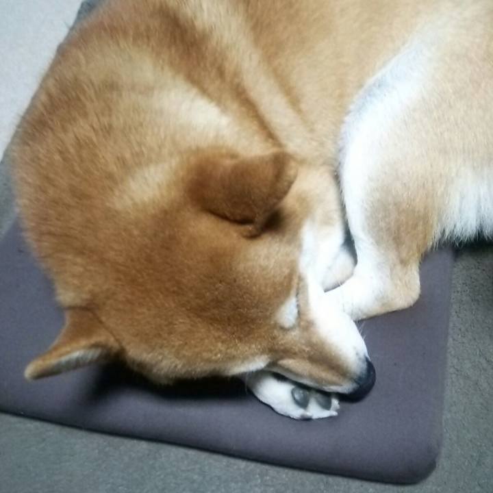 7860524e a362 479b b85a f9074f0eaa6b