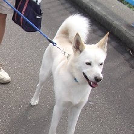 7860975e 8fdc 41ec 9711 e39dc7659f33