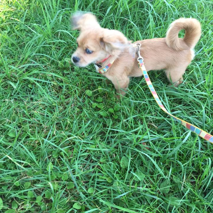 7860b9ee 2006 4289 8c17 de7b7388c00a