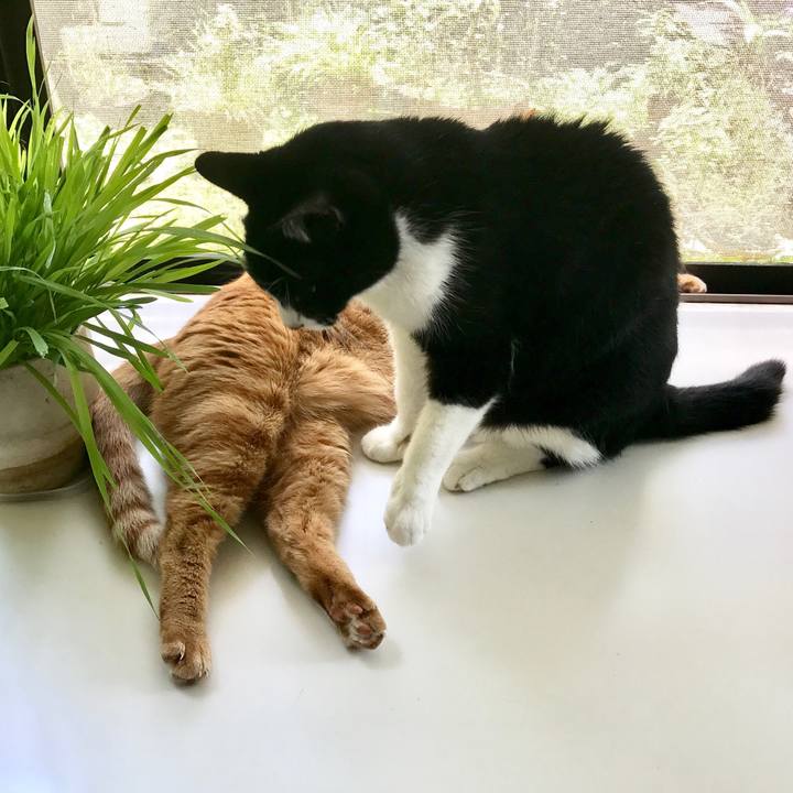 7861111b 7040 43a8 bc40 5b00ab6a24c8