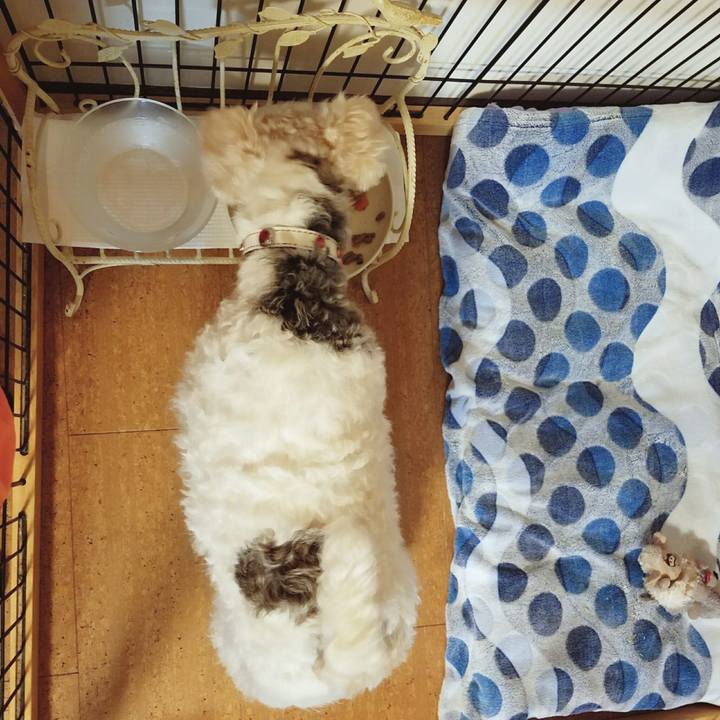 78616f3d f2ec 489b 9811 924d98210de3