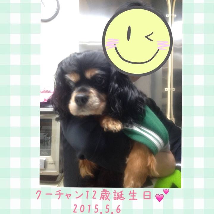 7861e520 2845 49f0 a5fa 656fd06c2e87