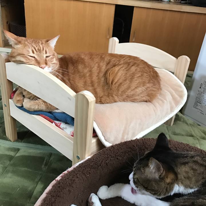 7862311a 8f4a 47ff 91fc f8546cc66b02