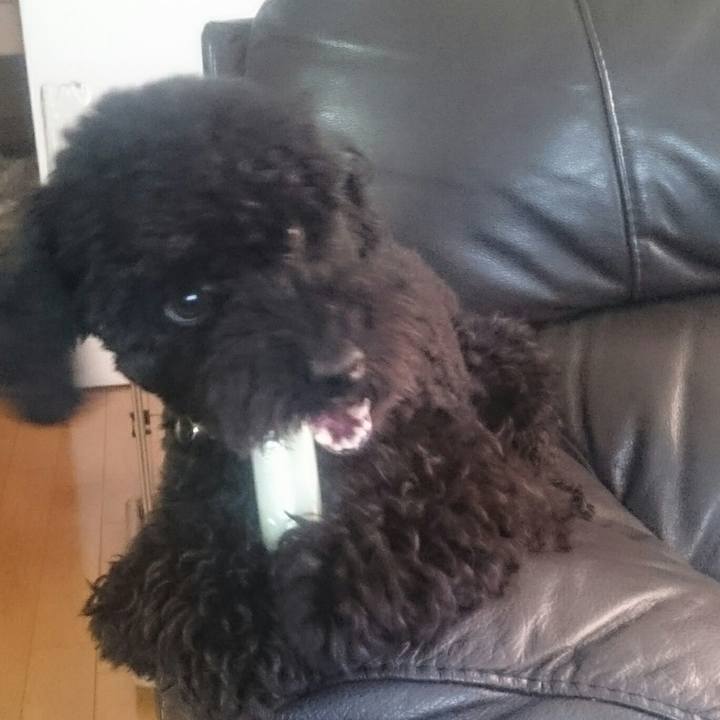 786252c6 c009 49b2 a76e b3465eec93fa