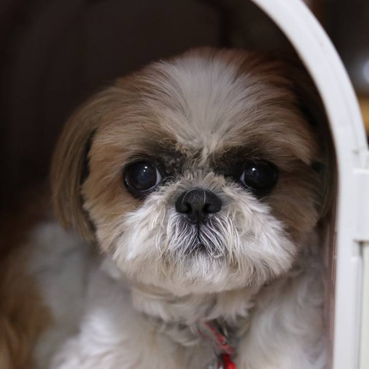 78625475 6394 4ab2 a7da be0caf0742bc