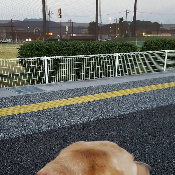 78634ec3 44e6 4eac 82b4 efb96251fcd0