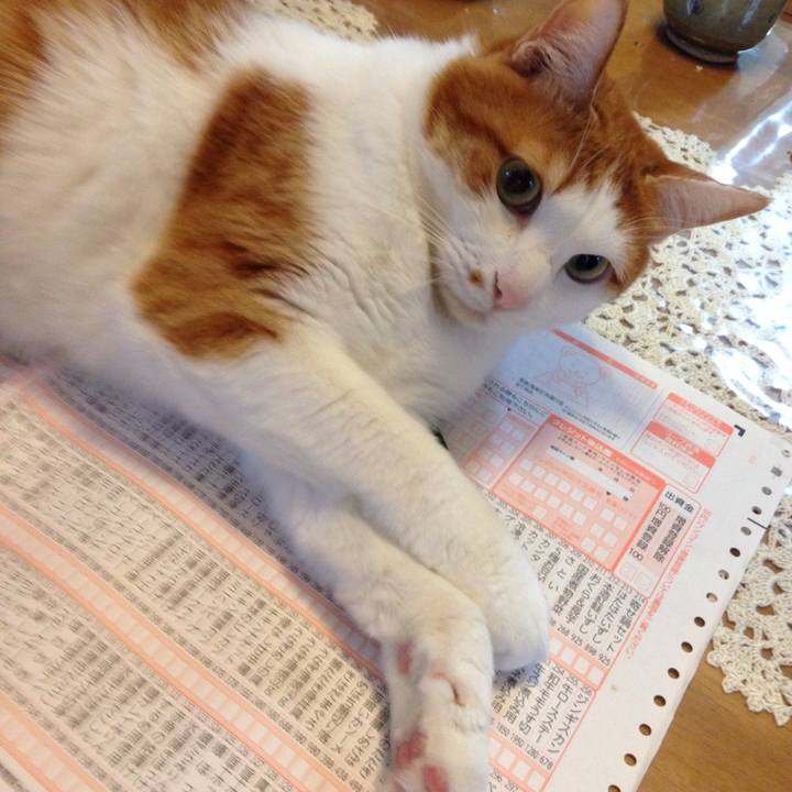 7863befc 0180 430b a18b 07f10adf69bc