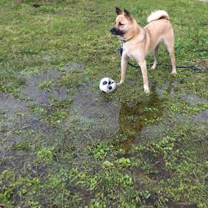 78641956 d735 4268 8dfc 070382d5a450