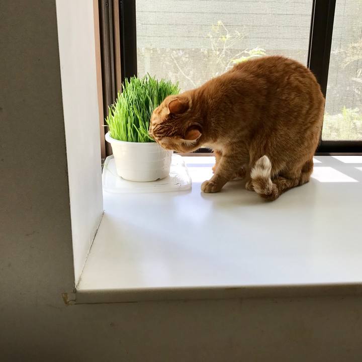 786477a3 0829 47b8 9997 32ec95cb2755