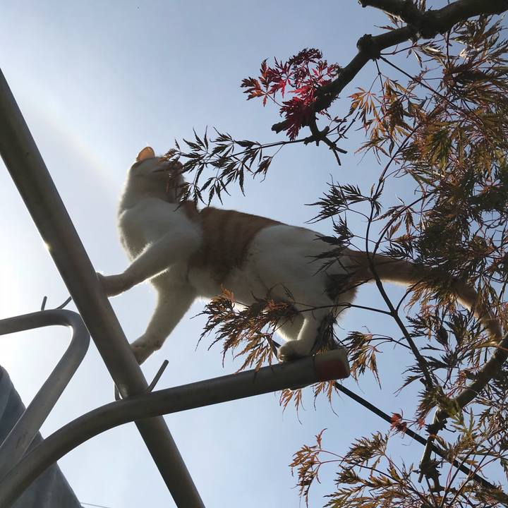 7864f59c 8100 4d87 8844 99e63b34747f