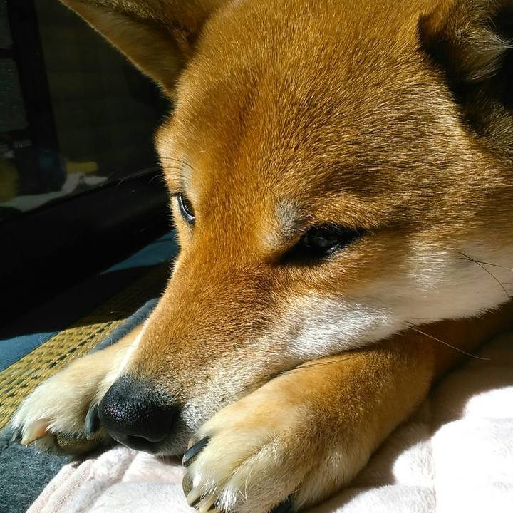 78652cfc 55d7 4d56 bd2a 1314d81e2d2d