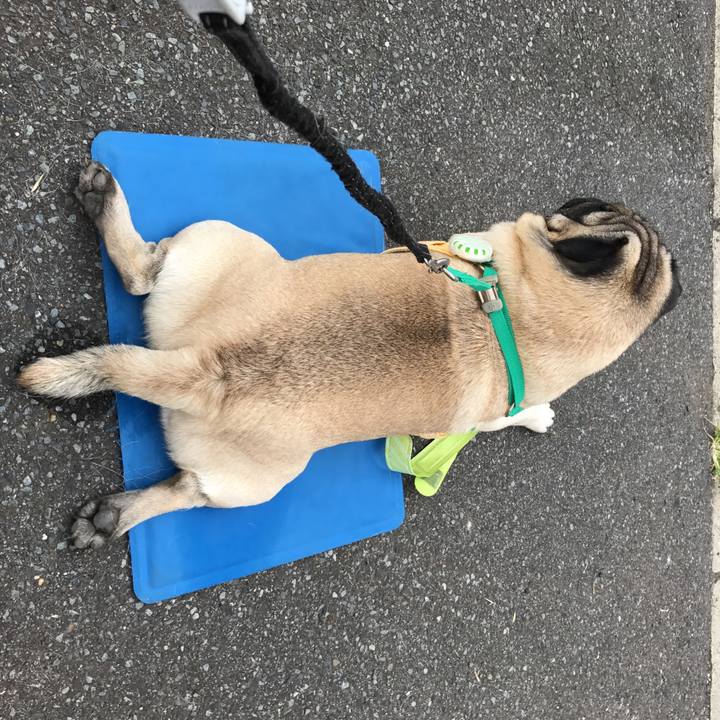 786539b0 b8e5 41c9 b960 0ec24910e3a9