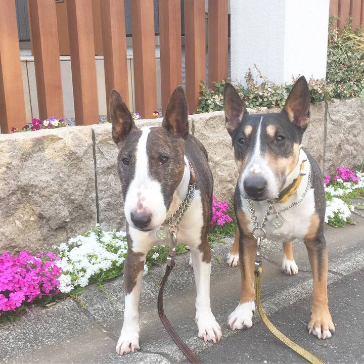 7865f134 36b8 4572 86cf 367e4fcca34f