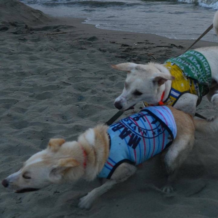 78662c22 8a7b 4a84 86aa 1cf611a34266