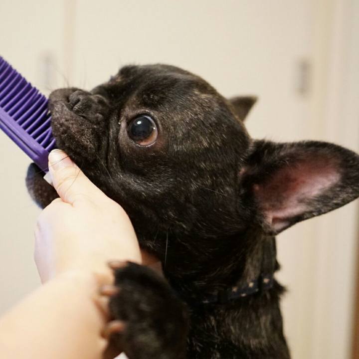 786634af 5cb6 4980 8864 6af325243e0d