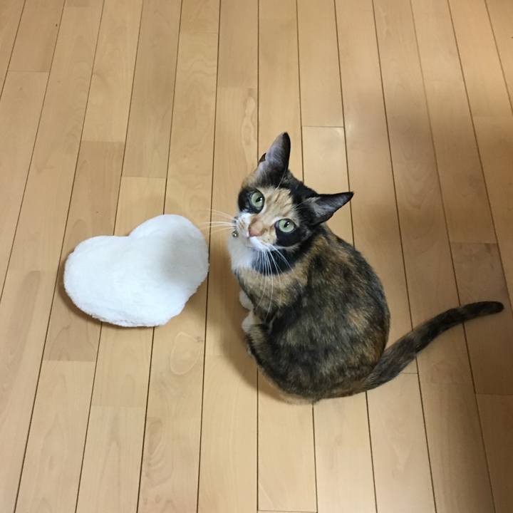 7866ca28 66a4 45f2 88b9 299394207e17