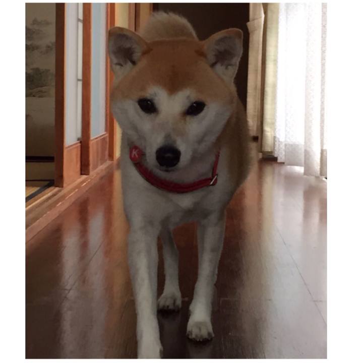 7866d04f 1b85 4b64 b406 f8f8e3d8f8bf