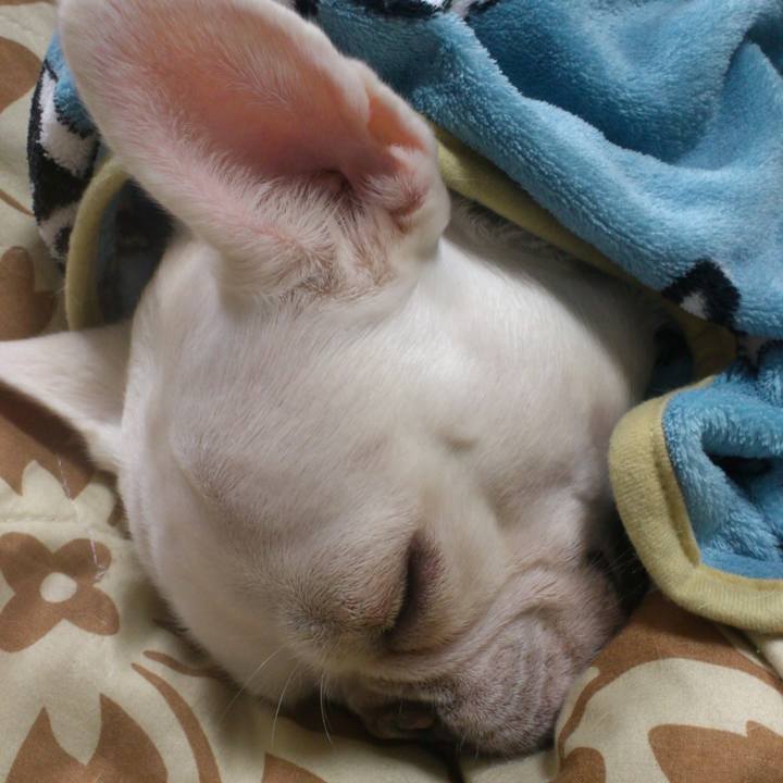 7866fe57 2920 4fad b397 79ed7f004419