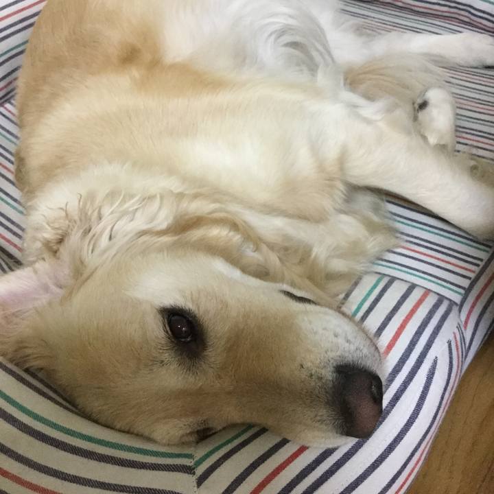 786736c4 d35f 4aa3 8116 192d5c7d320b