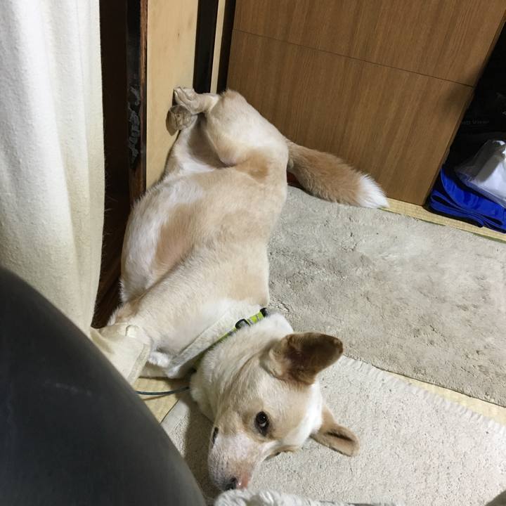 786752d5 3504 4e1b a367 3d41c8fb3392