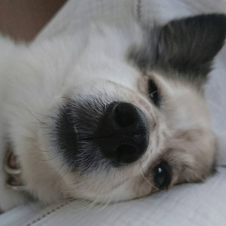 78675ac3 8e10 4586 9a60 28df119c07eb