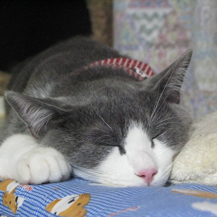 7868b093 9fd5 4726 be5f 30290ad42982