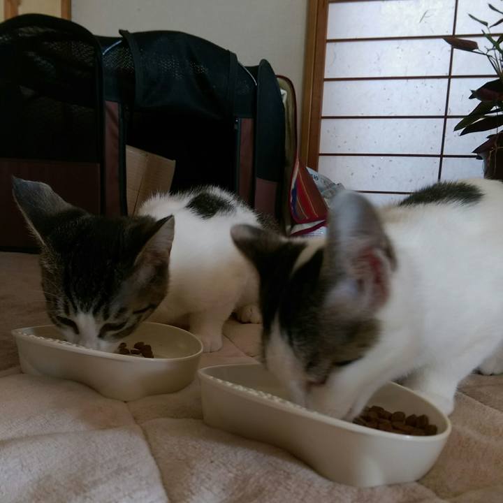 7868db4c 7fa2 4e0b b48f f796bdc0f82a