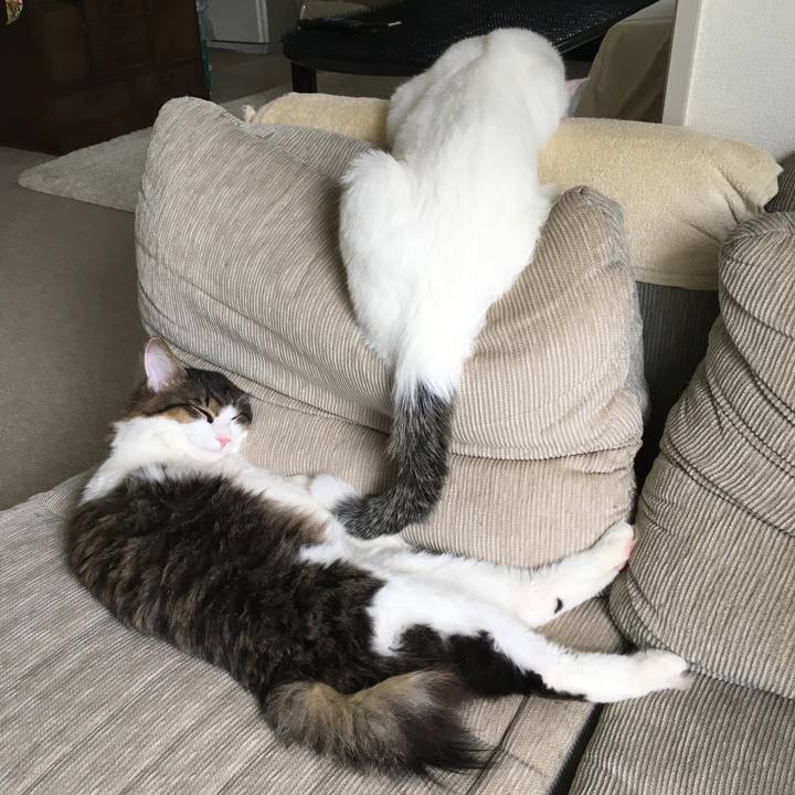 786929e6 4a77 422c af33 30869a67253b