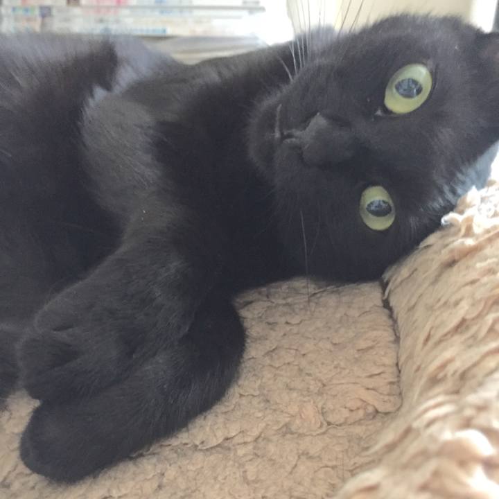 786964e1 d433 4816 a940 c05da2552804