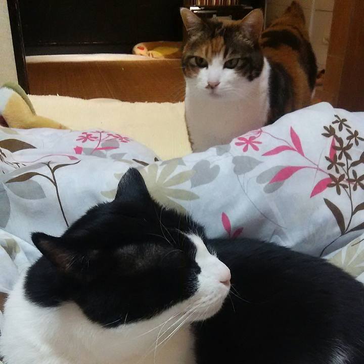 78698ba9 499d 4673 9752 4508b1894f20