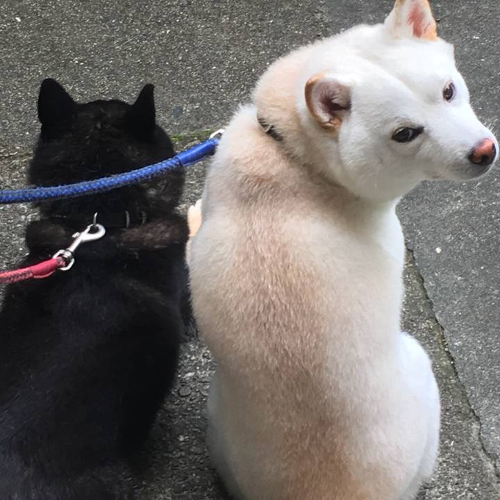 7869c237 62e2 44ff 828b 47ee91c1312e