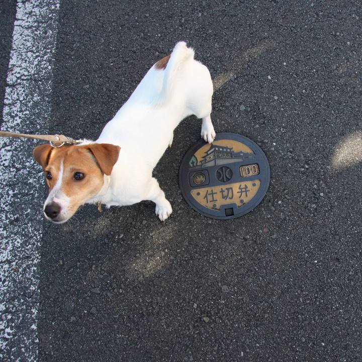 7869d03c 2336 4cfe 818b 6579a35d3a59