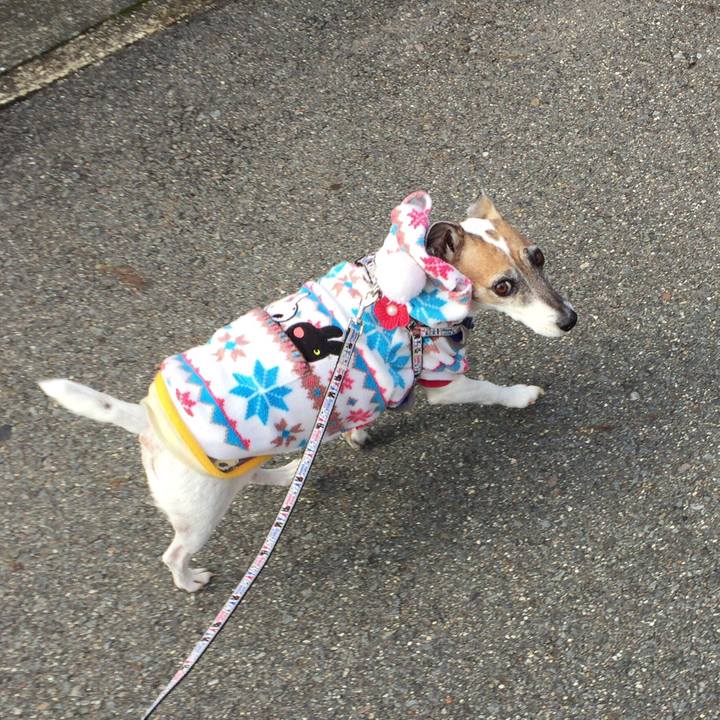 786a2cc3 19ca 4e5b b9cc bdb176a7faaa