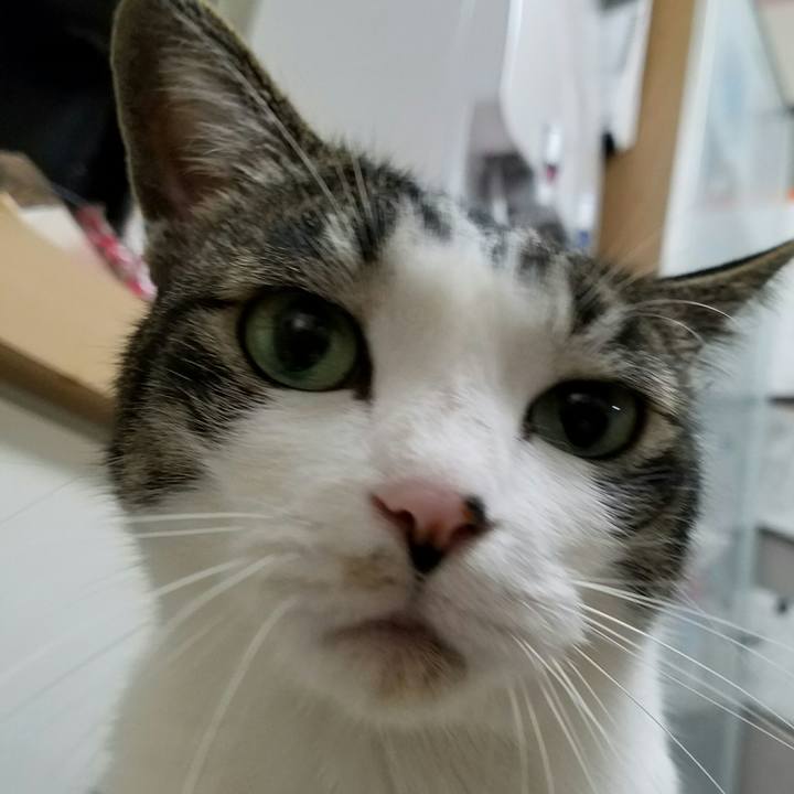 786acd5c 2328 4b61 a164 b5dfbfdf52d6