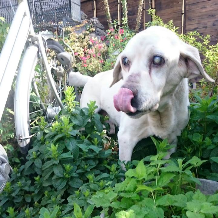 786b7bb0 a2ed 4b2d bf04 5e25a0933eb8