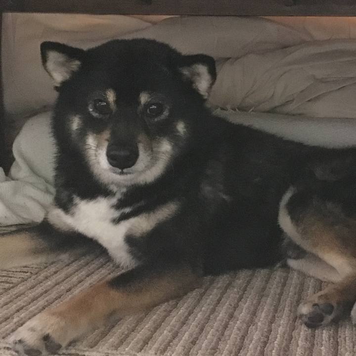 786c2c16 879c 47ac b545 1bb644cc5dac