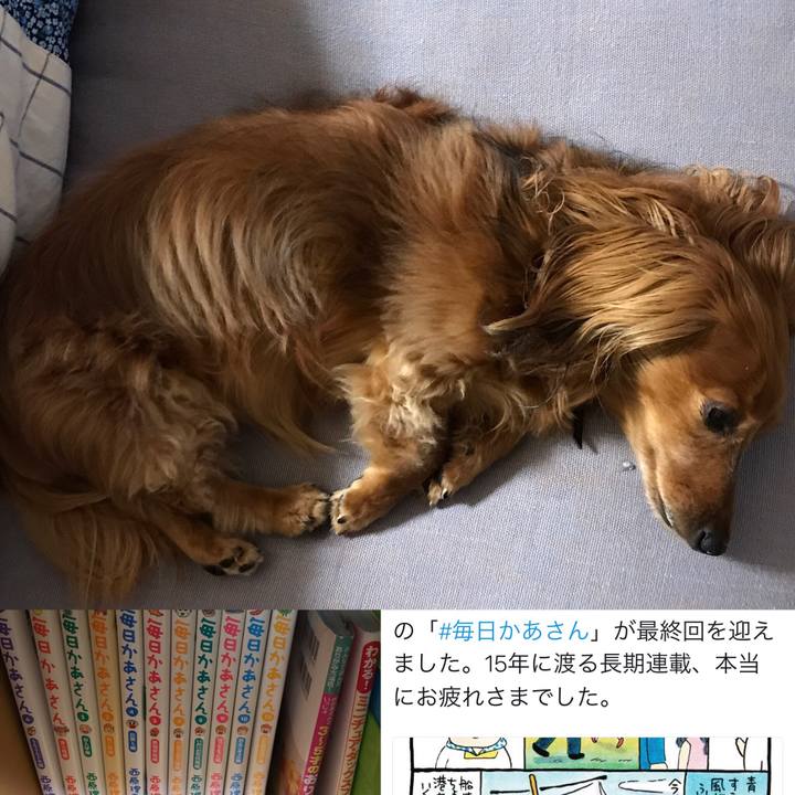 786c32b4 fedd 4bfa 8966 9ac4607c3f6c