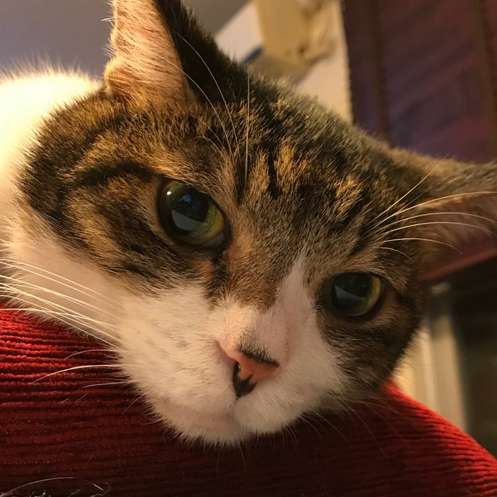 786c4ba3 173d 4546 995a d75bd4df5967