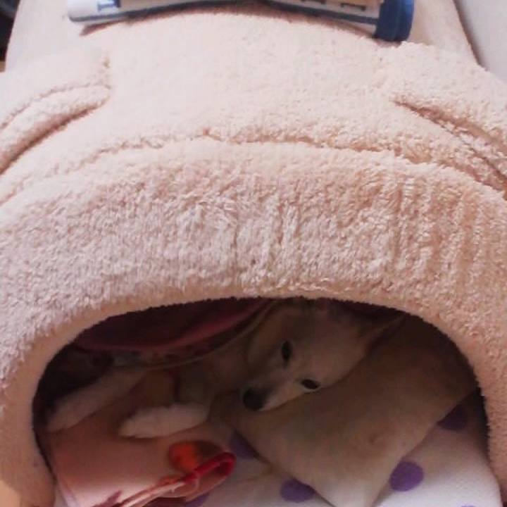 786c4beb cfbf 4efa 9fe3 698c539c20f4