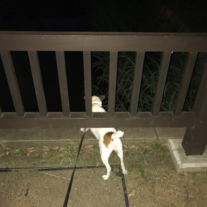 786c7788 80bb 4610 9da2 c93fccc4863f