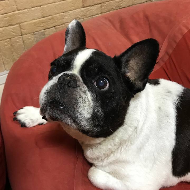 786d5e2d 56df 434e a575 948af4d4c0f7