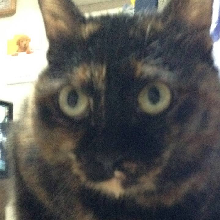 786dd297 de7f 4f7c 9130 d28dd87ff737